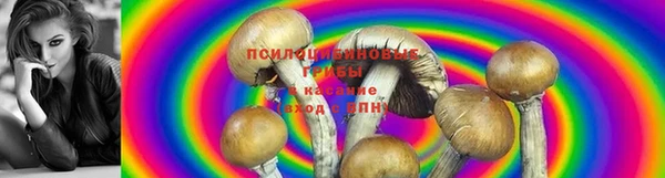 дистиллят марихуана Карпинск